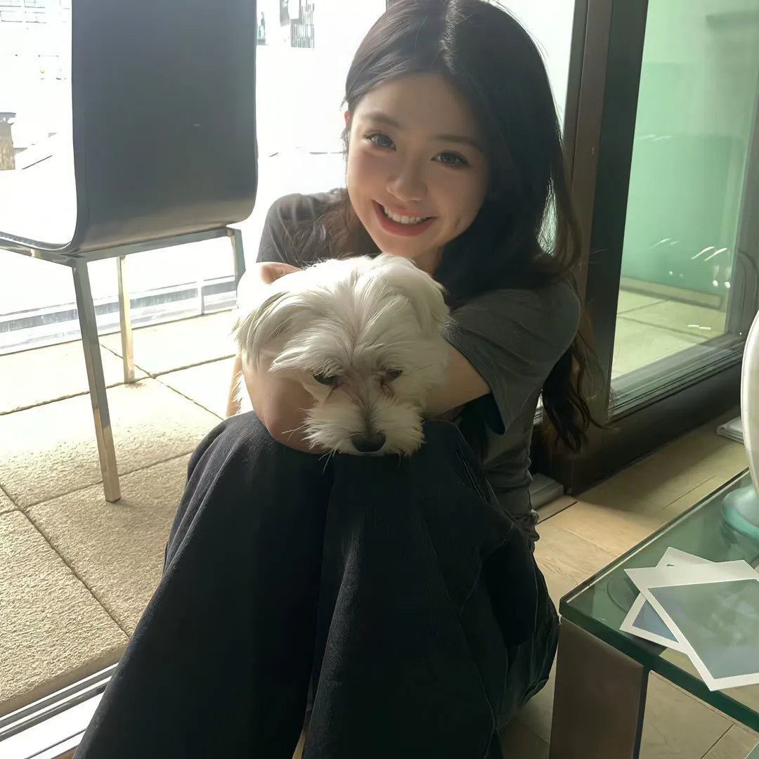 花生总统的心灵鸡汤