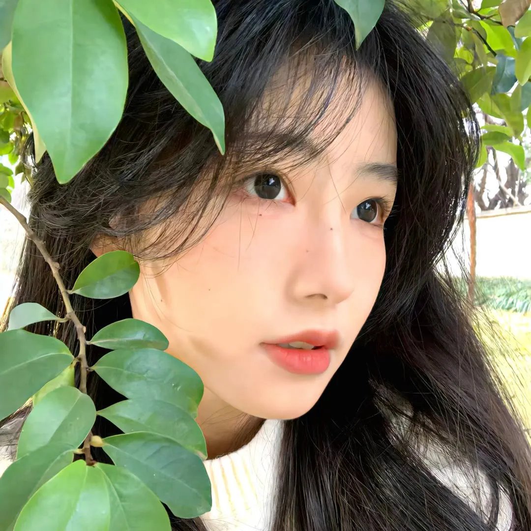 镜子战争